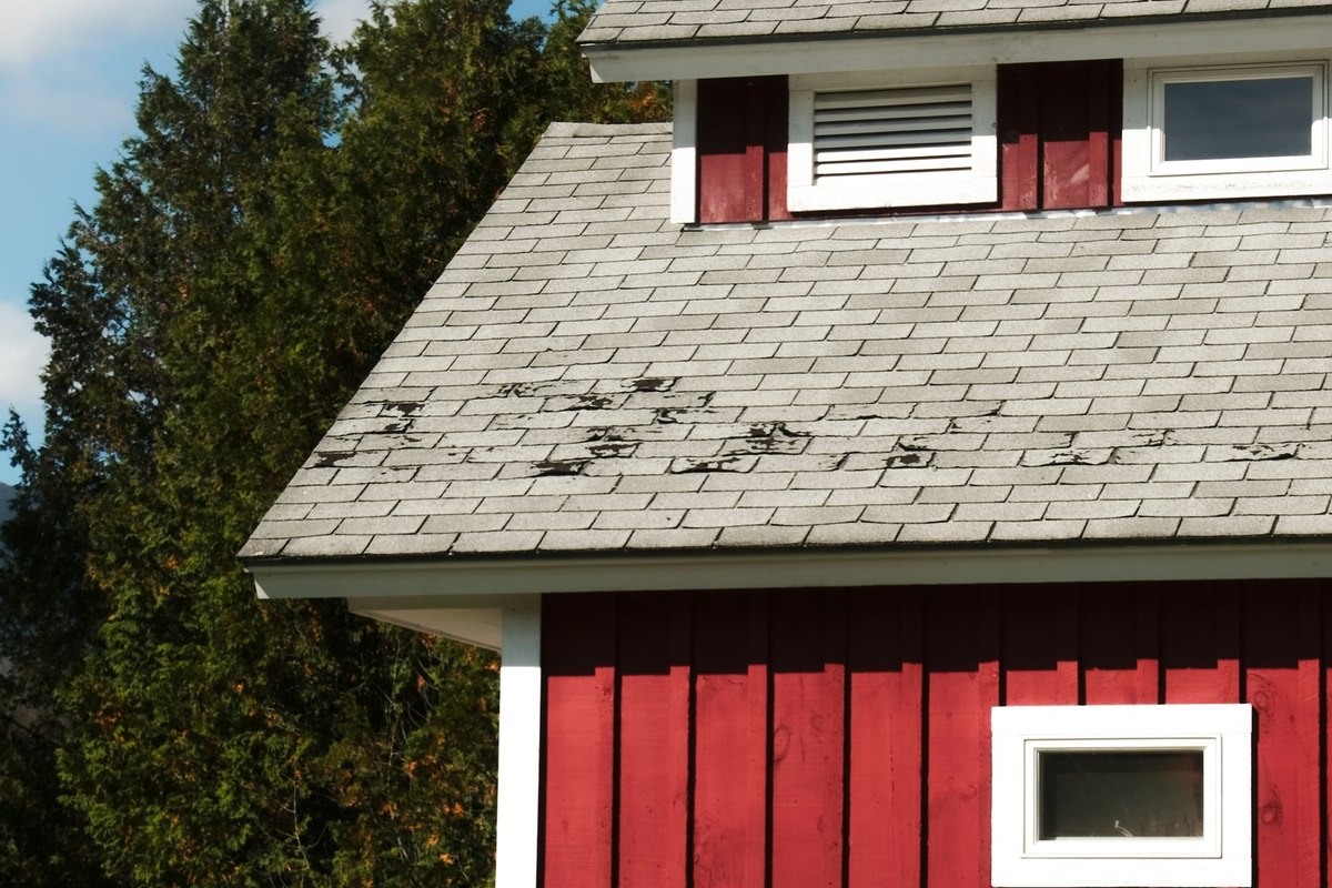 Gray asphalt shingle roof with worn dark patches on a red board-and-batten outbuilding